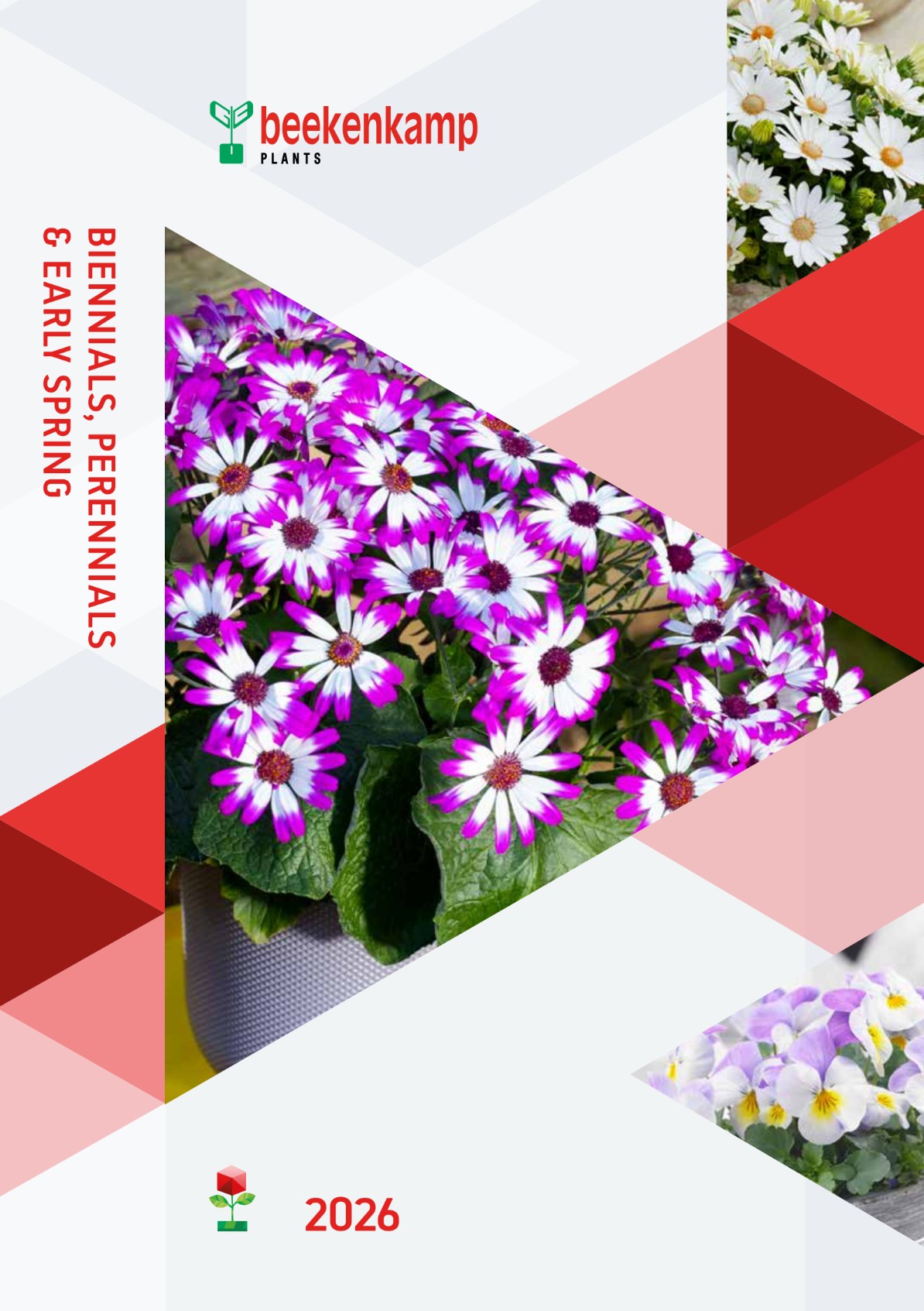 Beekenkamp Plants