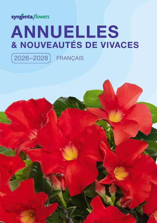 Syngenta Flowers