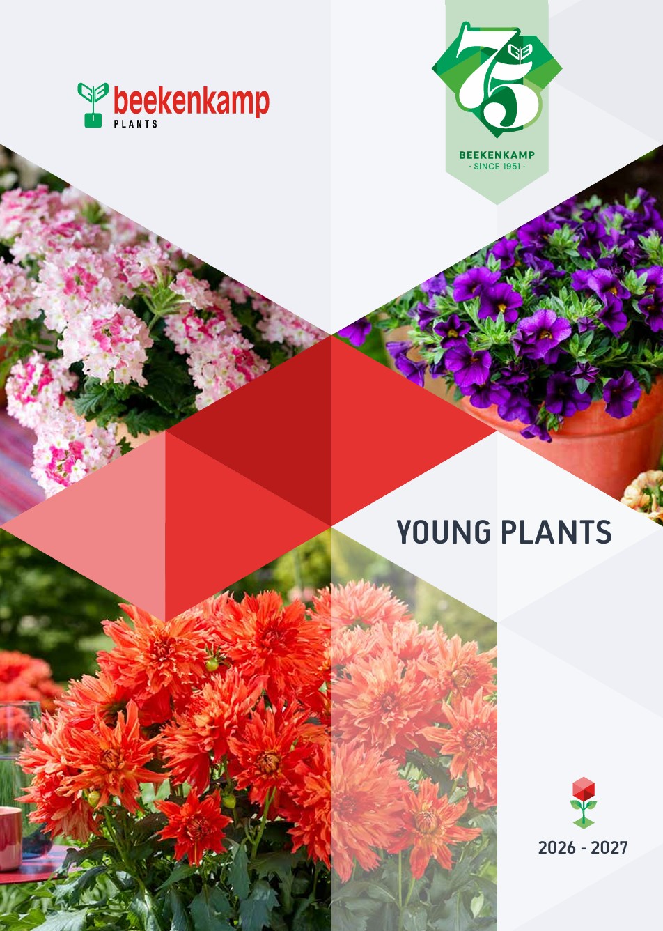 Beekenkamp Plants