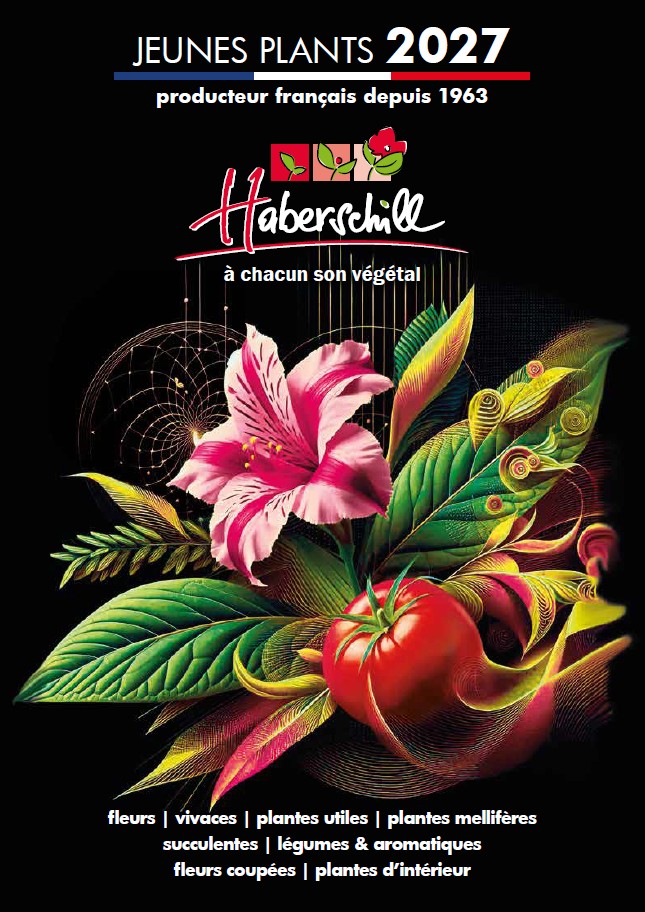 Haberschill