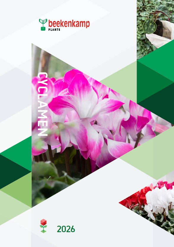 Beekenkamp Plants
