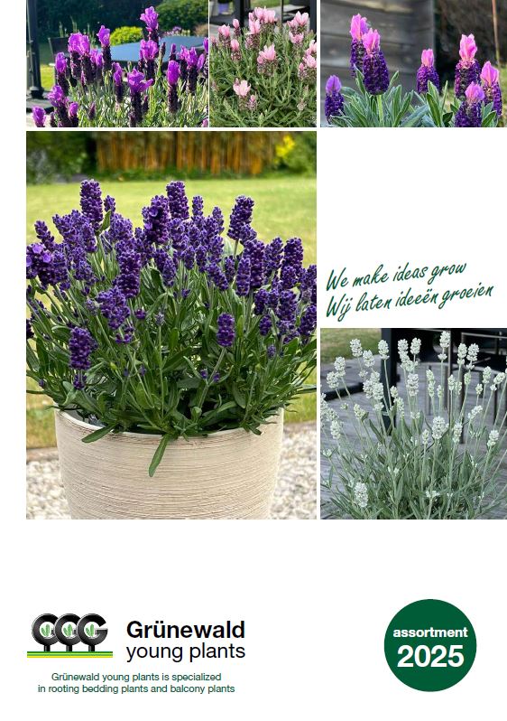 Jonge Planten Grünewald