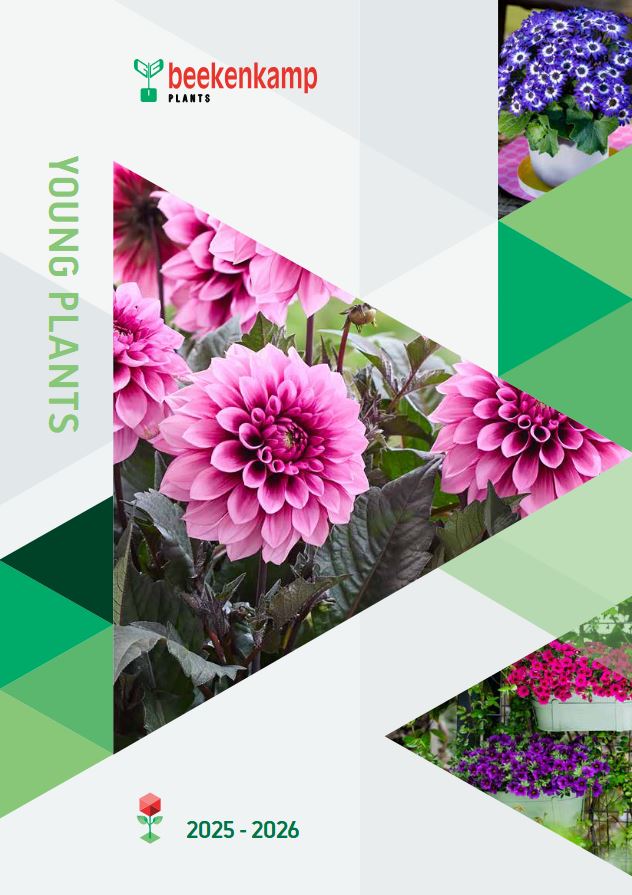 Beekenkamp Plants