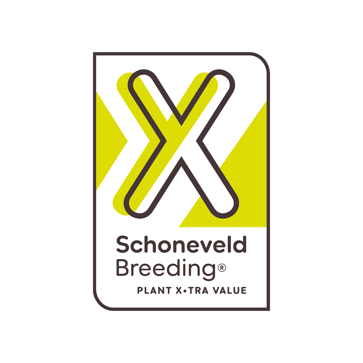 5SCHONEVELD